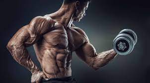 How-to-Gain-Muscle-Fast